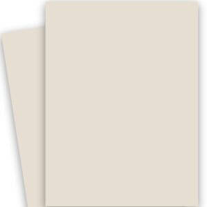 Curious SKIN - Stone - 27X39 Card Stock Paper - 100lb Cover (270gsm) - 100 PK