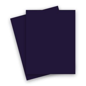 Curious SKIN - Violet - 8.5 x 11 Card Stock Paper - 100lb Cover - 250 PK